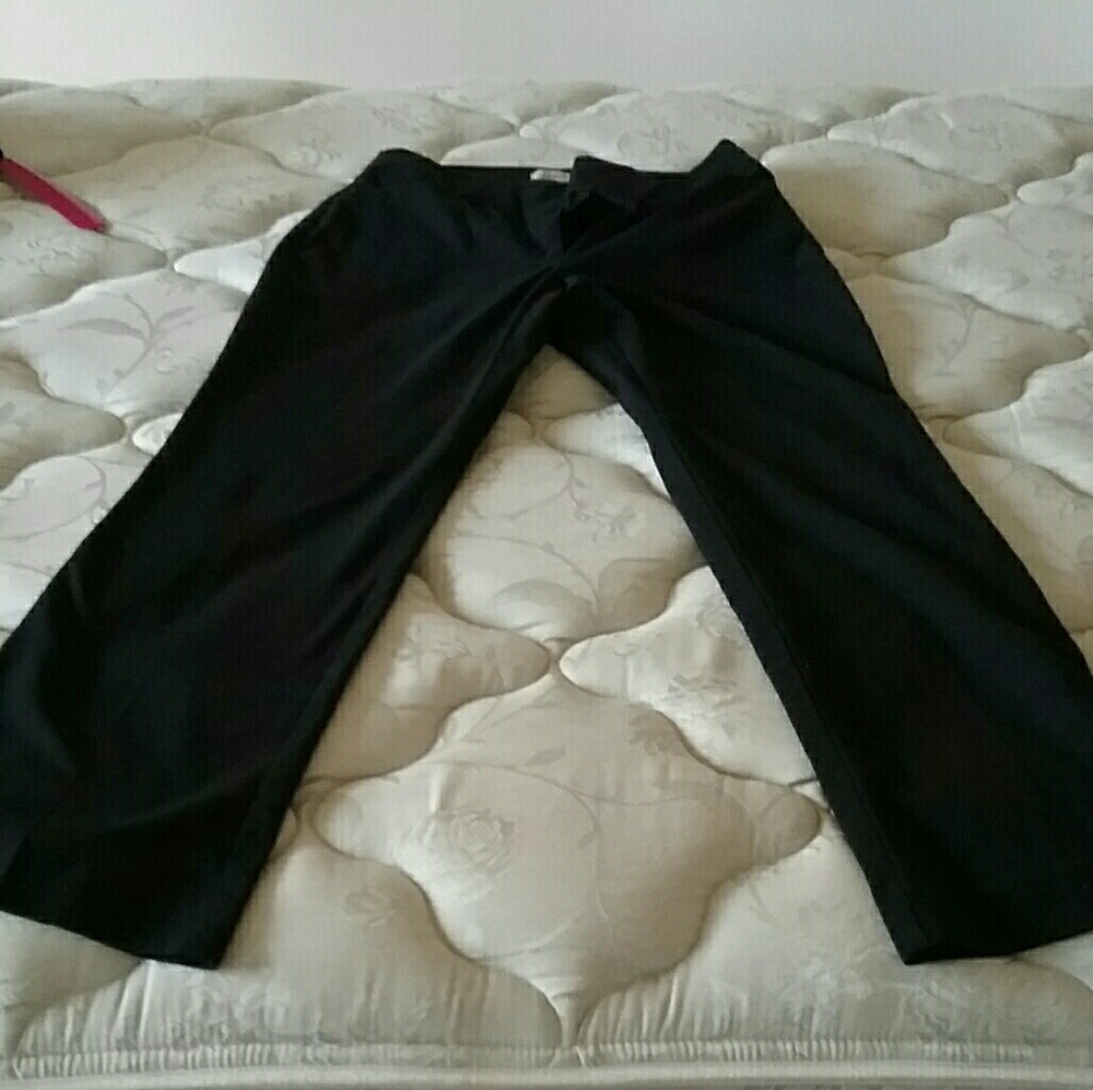 Loft Dress Pants size 2P